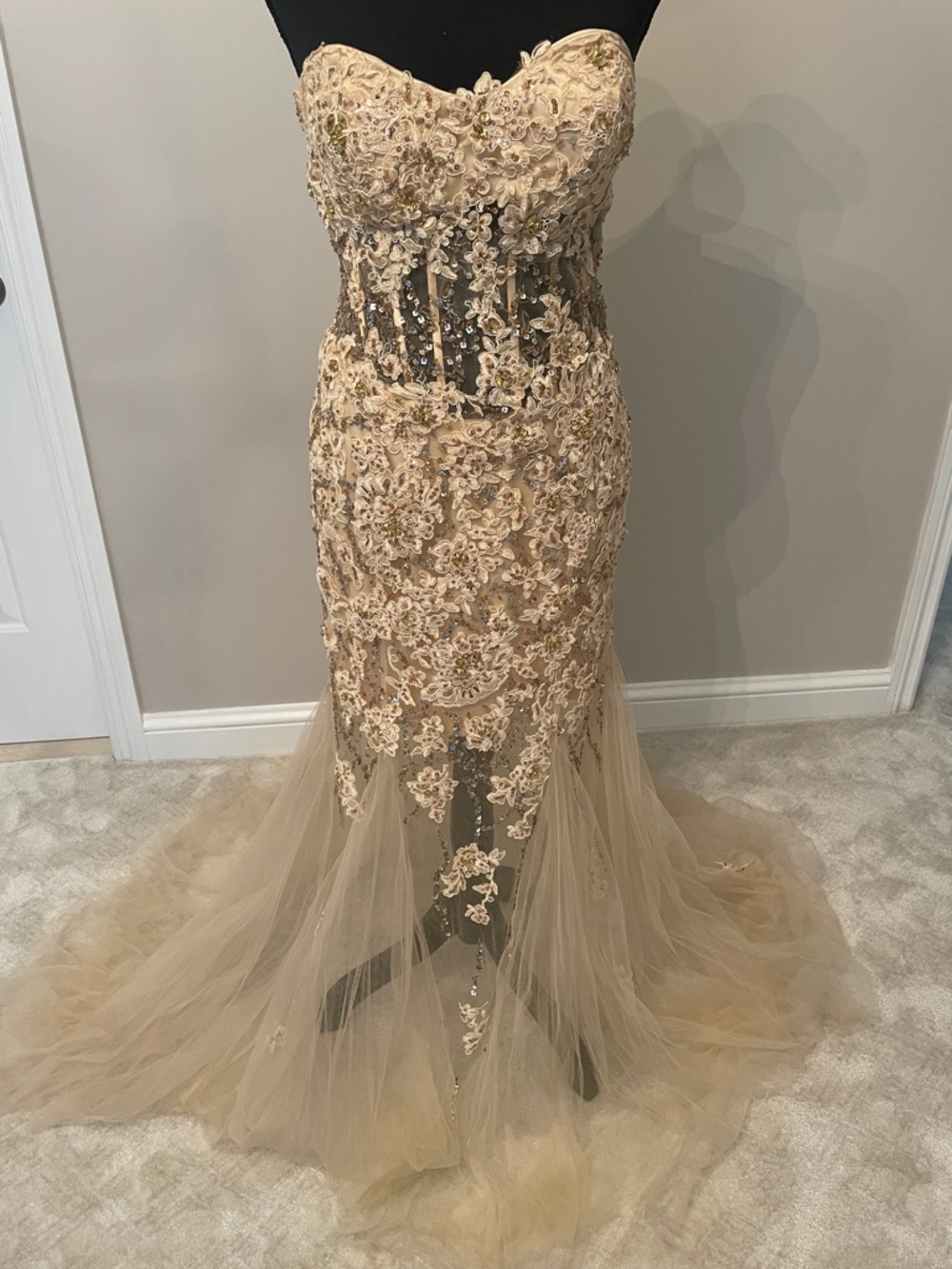 Strapless Lace Appliqué Tulle Mermaid Gown in Champagne